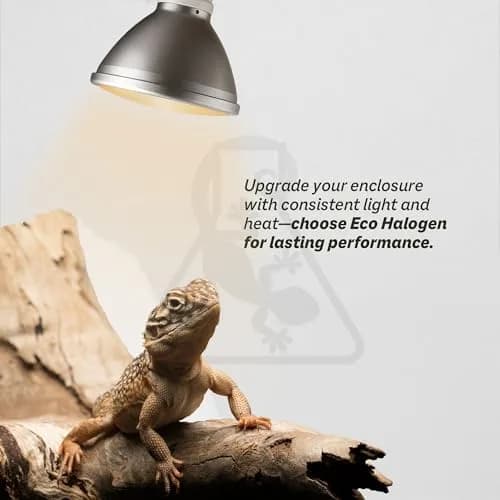 Reptile Systems Eco Halogen White 50w Lamp for Reptiles & Amphibians | Efficient Heating & Dual Light & Heat thumbnail 4