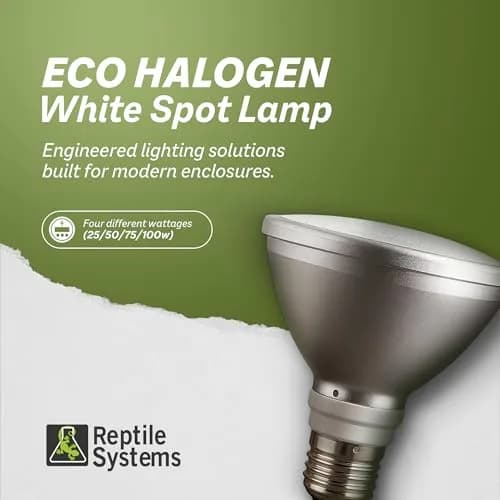 Reptile Systems Eco Halogen White 50w Lamp for Reptiles & Amphibians | Efficient Heating & Dual Light & Heat thumbnail 2