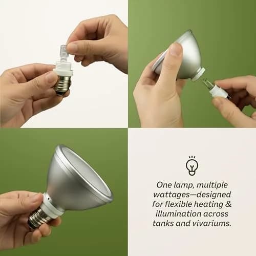 Reptile Systems Eco Halogen White 50w Lamp for Reptiles & Amphibians | Efficient Heating & Dual Light & Heat thumbnail 3