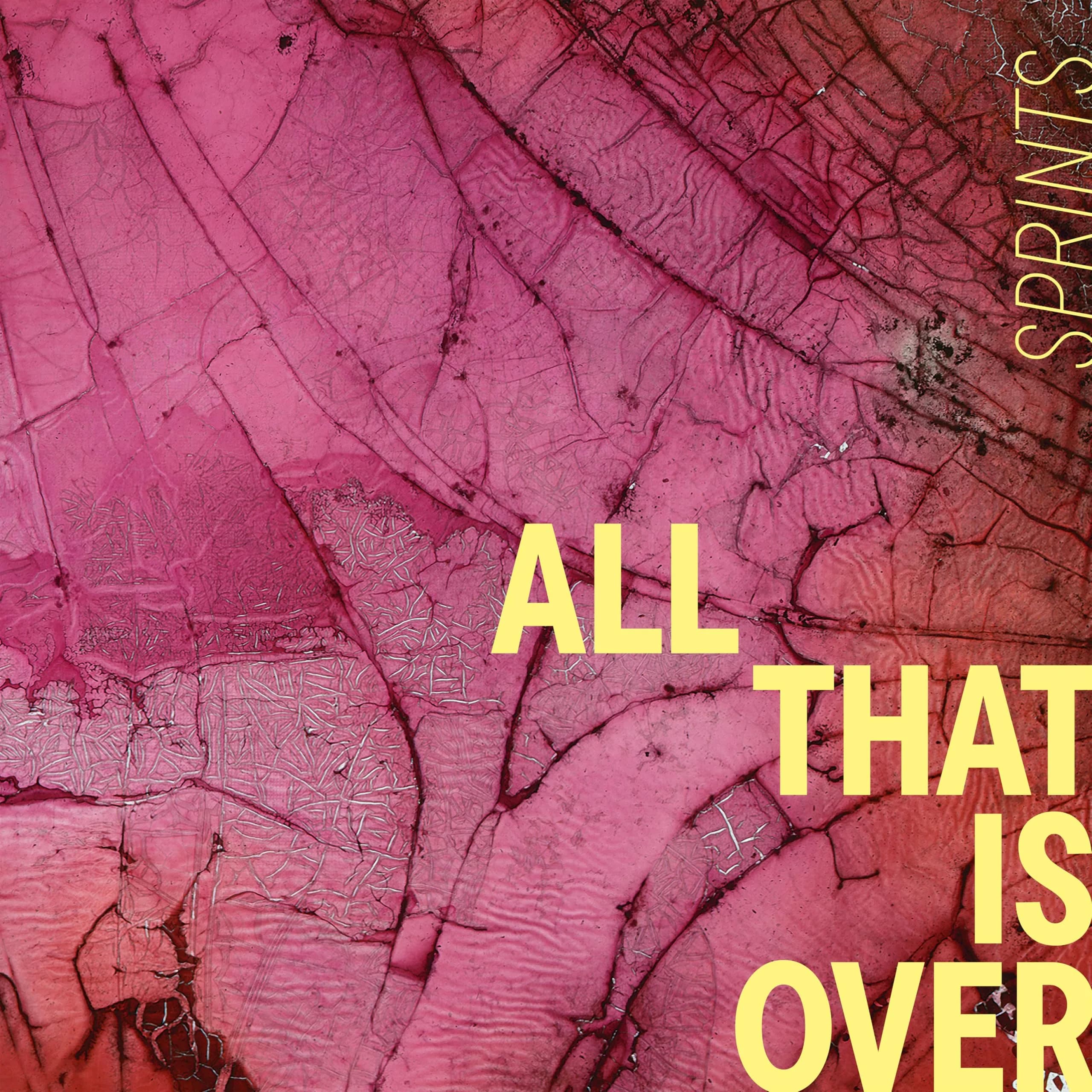 SUBPOP All That Is Over - Pink Marble | Alternative Rock Vinyl Record 12"