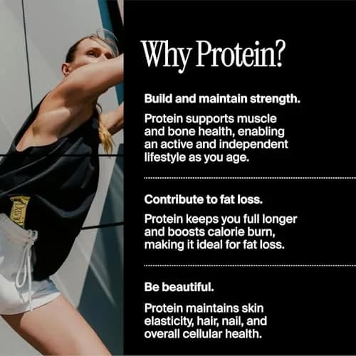 David Protein Bars, David Favorites | 28g Protein | 24 Pack thumbnail 5