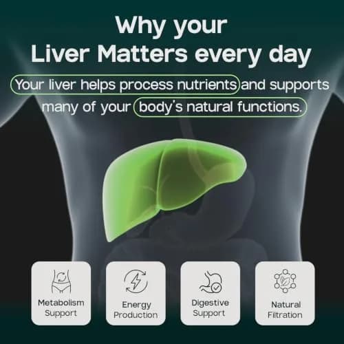 LIVERITE Liver Aid - Liver Support Supplement - 150 Tablets | Supports Liver Function & Energy thumbnail 5