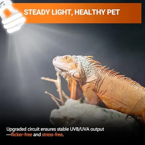 REPTI ZOO 15W UVA UVB Reptile Light Bulb 10.0 2-Pack | Simulates Tropical Sunlight for Bearded Dragons, Tortoises, Lizards, Snakes thumbnail 5