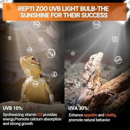 REPTI ZOO 15W UVA UVB Reptile Light Bulb 10.0 2-Pack | Simulates Tropical Sunlight for Bearded Dragons, Tortoises, Lizards, Snakes thumbnail 3