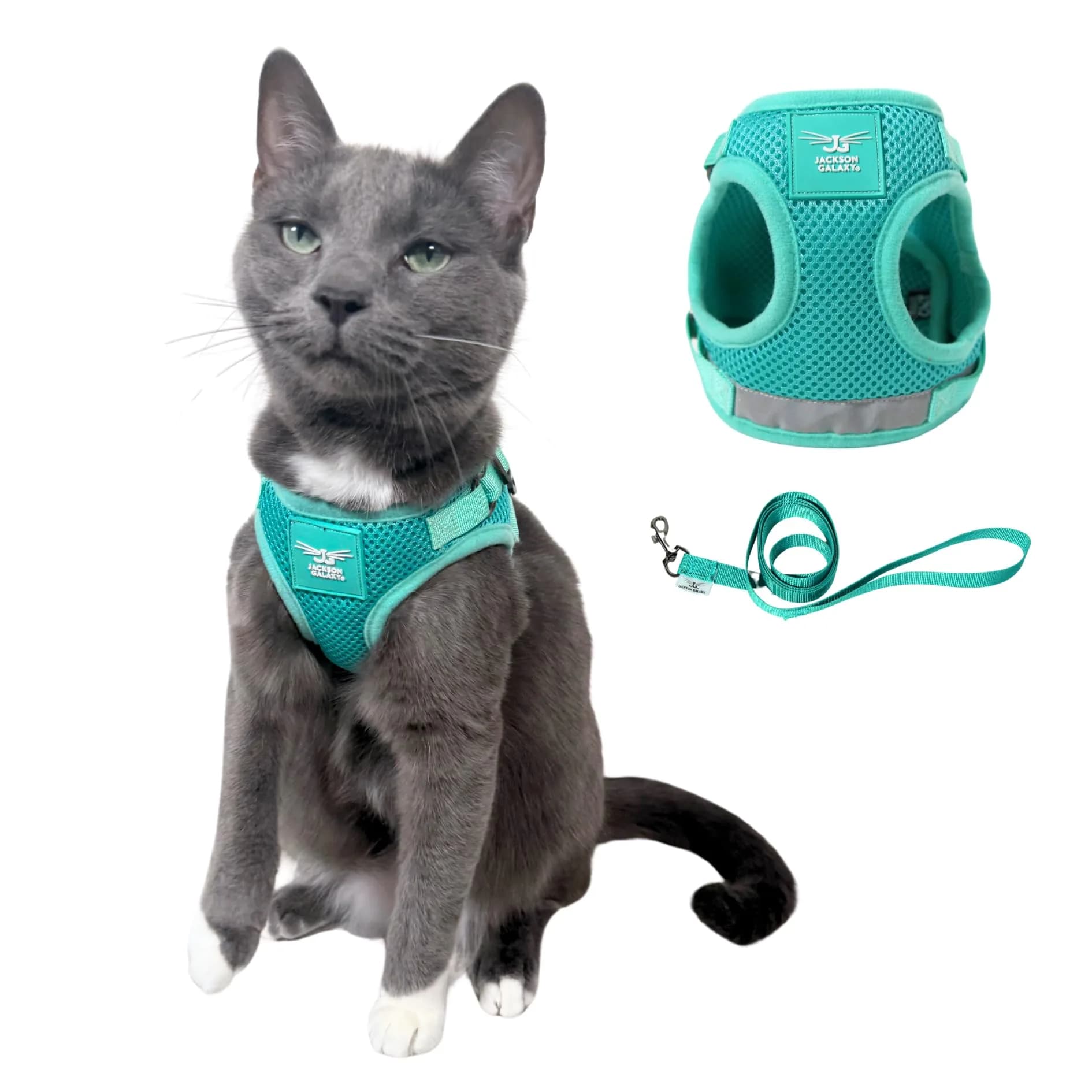 Your Cat Backpack Travel Cat Harness and Leash Set - Adjustable Mesh Fit for Outdoor Cats (Large) — Large