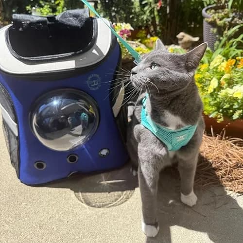 Your Cat Backpack Travel Cat Harness and Leash Set - Adjustable Mesh Fit for Outdoor Cats (Large) thumbnail 9