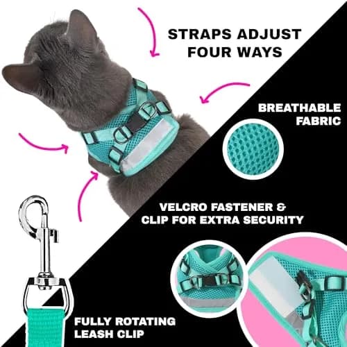Your Cat Backpack Travel Cat Harness and Leash Set - Adjustable Mesh Fit for Outdoor Cats (Large) thumbnail 3