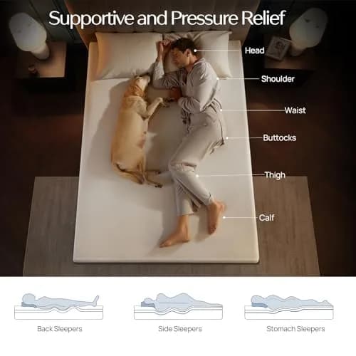 Seventable Twin Size 8 Inch Gel Memory Foam Mattress in a Box | Fiberglass Free, CertiPUR-US Certified, Breathable & Supportive thumbnail 2