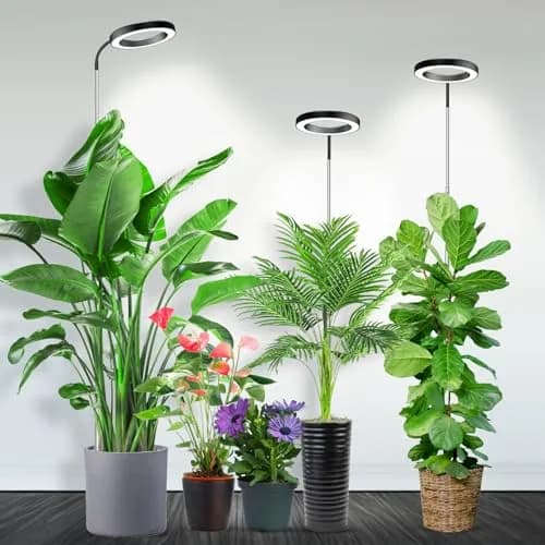 Garpsen Full Spectrum LED Grow Light 65" Height Adjustable 3Pack | 3 Color Modes, 5 Dimmable Levels, 6/12/16H Timer — Black