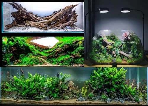 Azil Natural Driftwood 9''-12'' (2 Pieces, 0.71 kg) | Unique Aquarium Decor for Fish Tanks & Aquascaping thumbnail 5