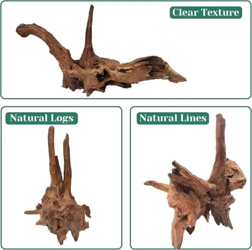 Azil Natural Driftwood 9''-12'' (2 Pieces, 0.71 kg) | Unique Aquarium Decor for Fish Tanks & Aquascaping thumbnail 2