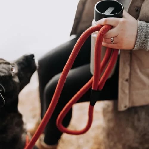 HOOZA Magnetic Rope Leash - Red, Medium | Quick Clip Magnetic Dog Leash with Heavy-Duty Rope thumbnail 4