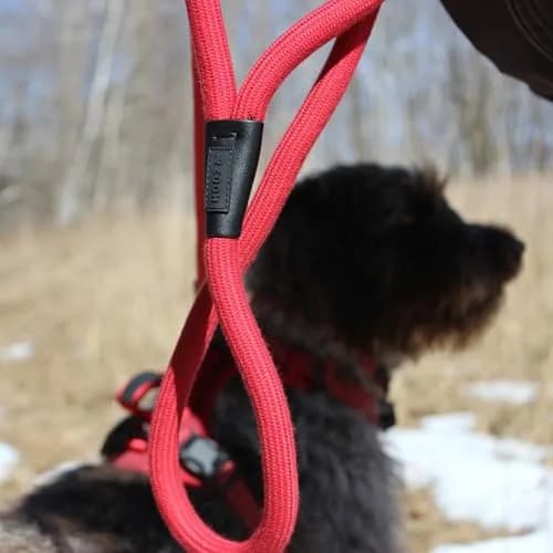 HOOZA Magnetic Rope Leash - Red, Medium | Quick Clip Magnetic Dog Leash with Heavy-Duty Rope thumbnail 5