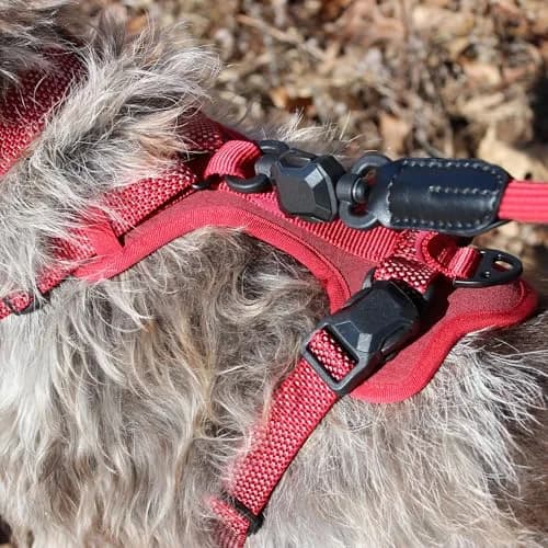 HOOZA Magnetic Rope Leash - Red, Medium | Quick Clip Magnetic Dog Leash with Heavy-Duty Rope thumbnail 8