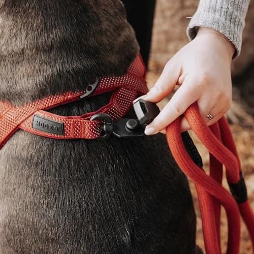 HOOZA Magnetic Rope Leash - Red, Medium | Quick Clip Magnetic Dog Leash with Heavy-Duty Rope thumbnail 3