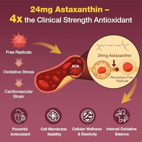 Talyvorlathor Liposomal Red Yeast Rice 1200mg with CoQ10 & Astaxanthin | Cholesterol Support & High Absorption thumbnail 3
