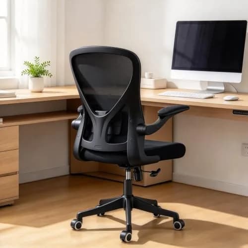 SICHY AGE Ergonomic Office Desk Chair High Back Mesh | Adjustable Lumbar & Flip-Up Armrests thumbnail 1