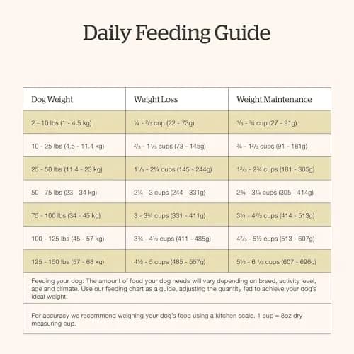 Now Fresh Good Gravy All Breed Senior Dry Dog Food, Grass-Fed Beef, 3.5 lb | Supports Joint & Weight thumbnail 7