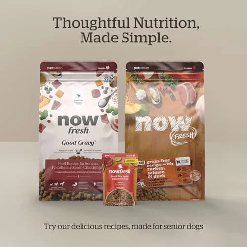 Now Fresh Good Gravy All Breed Senior Dry Dog Food, Grass-Fed Beef, 3.5 lb | Supports Joint & Weight thumbnail 9