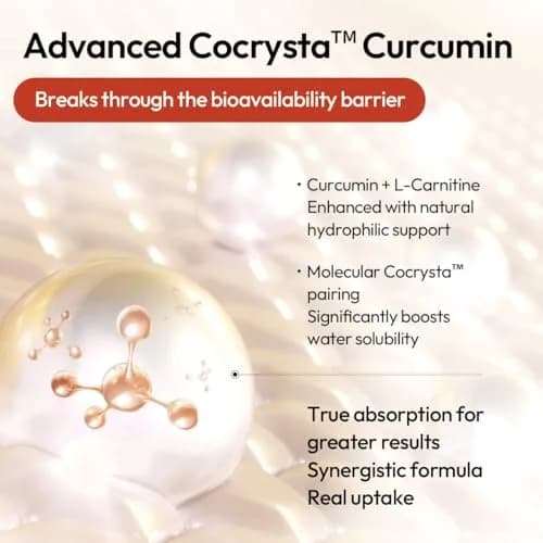 BIGVITA CoCrystal Curcumin+ 60 Capsules | 60x Absorption with Curcumin & L-Carnitine | Dietary Supplement for Daily Wellness | Made in USA thumbnail 5