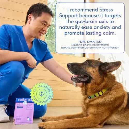 Native Pet GutWell Stress Support Dog Anxiety Relief Supplement 60 Scoops | Vet-Formulated Triple-Biotic & Magnesium Powder thumbnail 6