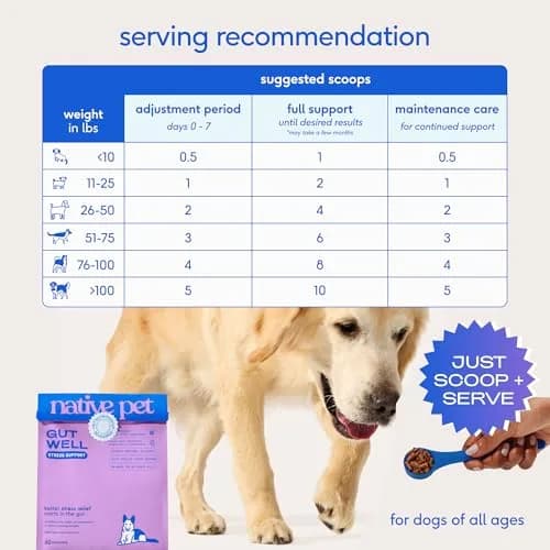 Native Pet GutWell Stress Support Dog Anxiety Relief Supplement 60 Scoops | Vet-Formulated Triple-Biotic & Magnesium Powder thumbnail 7