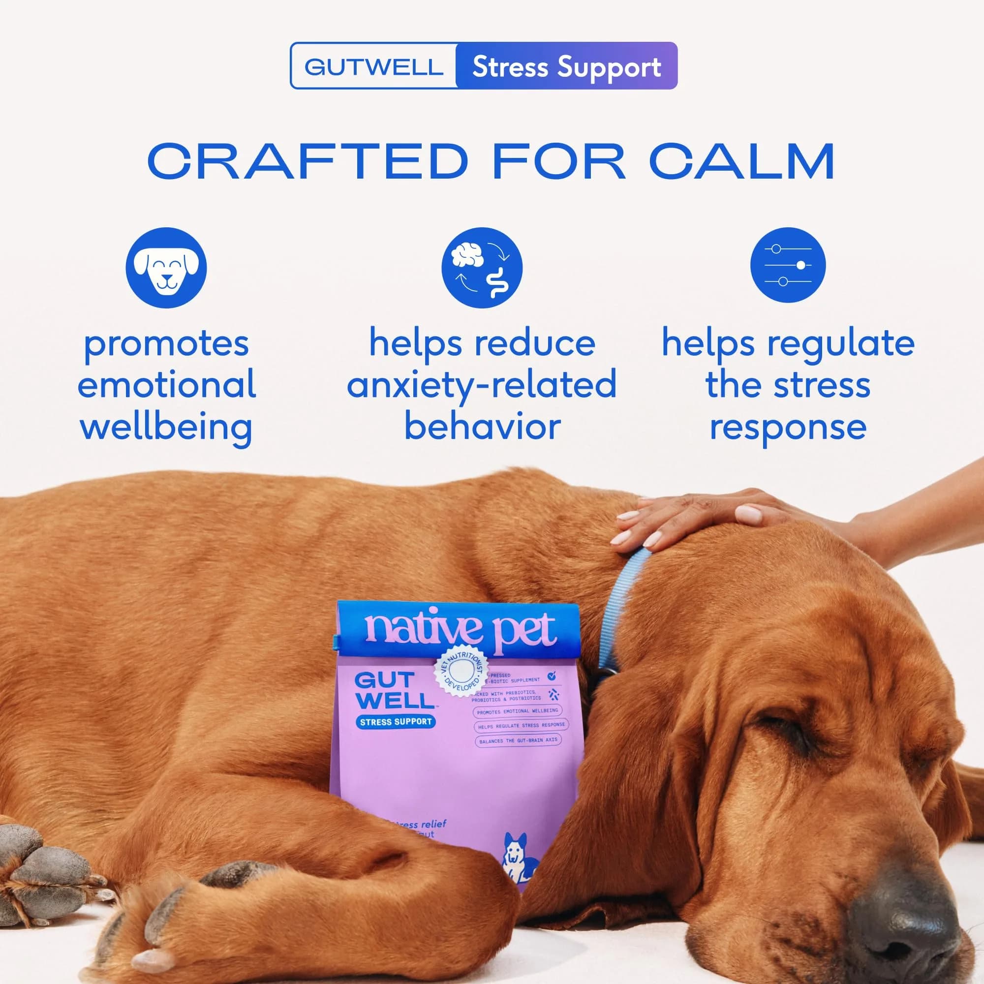 Native Pet GutWell Stress Support Dog Anxiety Relief Supplement 60 Scoops | Vet-Formulated Triple-Biotic & Magnesium Powder - view 2