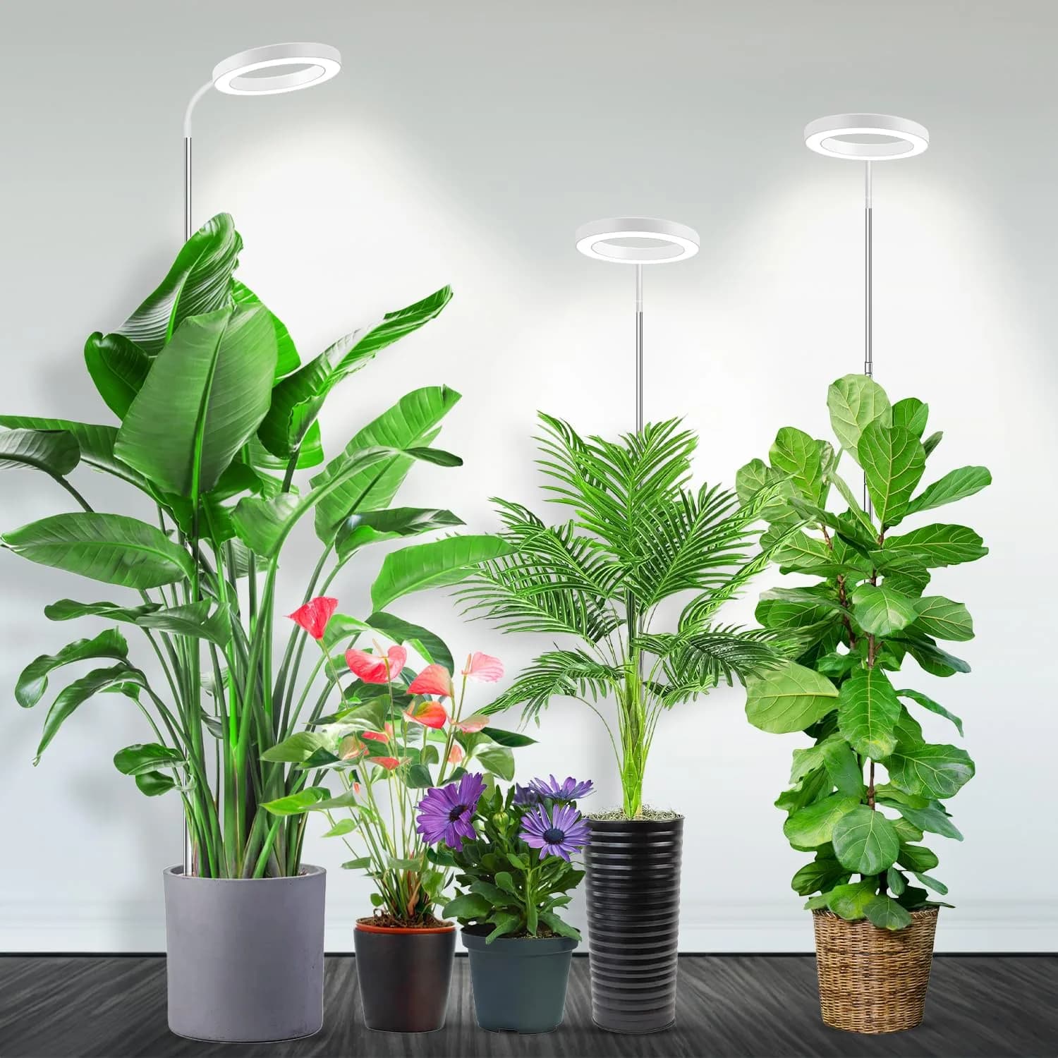 Garpsen Halo Grow Light Full Spectrum with Gooseneck 3 Pack 65 inch Height Adjustable | LED Plant Lamp for Indoor Plants - main product image