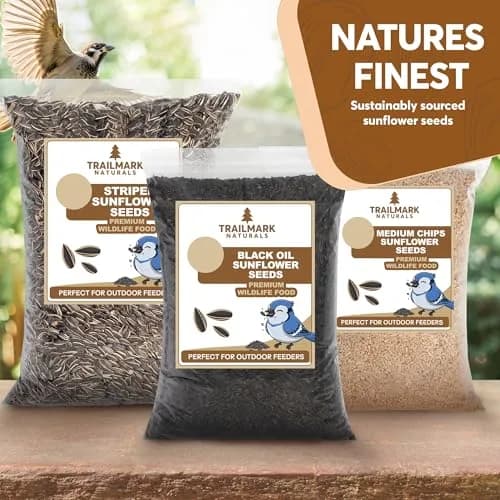 Trailmark Naturals 3 lb Black Oil Sunflower Seeds for Birds | Premium USA Wildlife & Backyard Feeders thumbnail 5