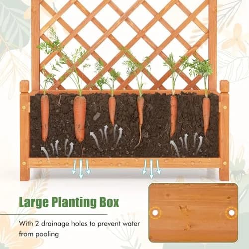 HAPPYGRILL 60” Raised Garden Bed with Trellis | Large Wooden Planter for Fruits, Vegetables & Herbs thumbnail 4