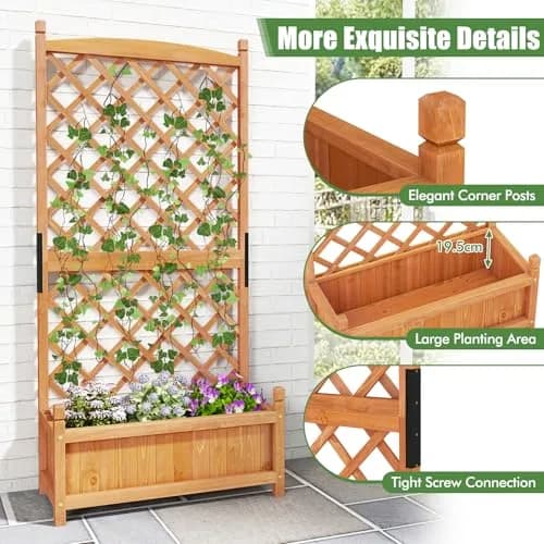 HAPPYGRILL 60” Raised Garden Bed with Trellis | Large Wooden Planter for Fruits, Vegetables & Herbs thumbnail 5