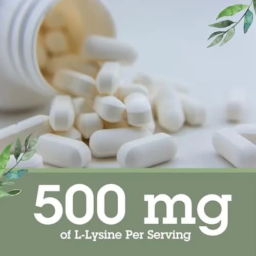 Quantum L-Lysine 500 mg Essential Amino Acid Supplement | Supports Collagen, Bone & Immune Health thumbnail 4