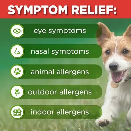 GoodSense Fluticasone Propionate Nasal Spray 50 mcg | 144 Sprays | 24-Hour Allergy Relief, Non-Drowsy thumbnail 5