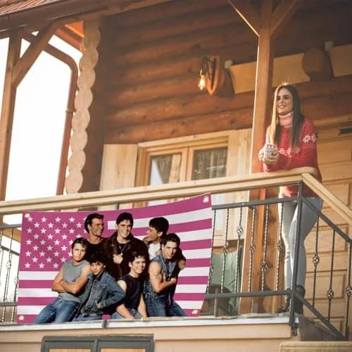 Aieted The Outsiders Pink Flag Poster 90cm x 150cm (3ft x 5ft) | Vibrant Polyester Tapestry for Fans thumbnail 2