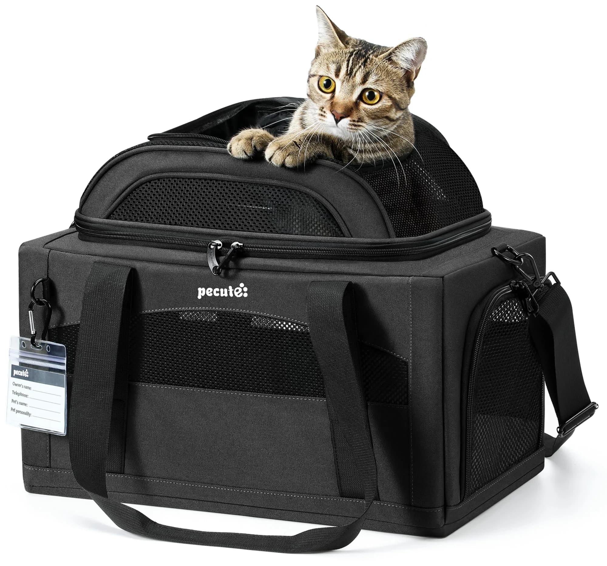 Pecute Top Expandable Airline Approved Pet Carrier for Cats, Dark Gray | Compact & Ventilated — Dark Gray