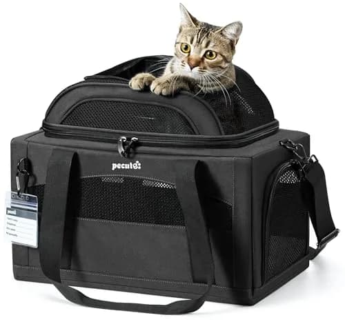 Pecute Top Expandable Airline Approved Pet Carrier for Cats, Dark Gray | Compact & Ventilated thumbnail 1