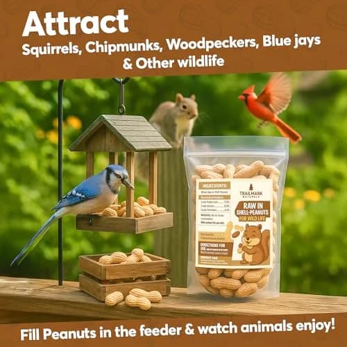 Trailmark Naturals Raw Peanuts for Squirrels & Birds | 2 Pack of 5 Lb Bags (10 Pounds) | Grown in The USA thumbnail 4