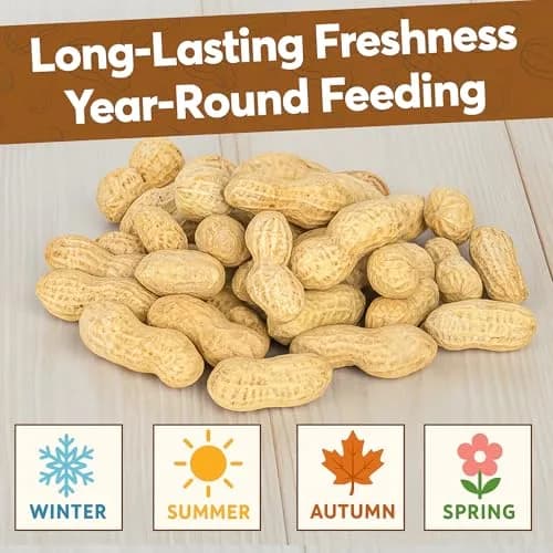 Trailmark Naturals Raw Peanuts for Squirrels & Birds | 2 Pack of 5 Lb Bags (10 Pounds) | Grown in The USA thumbnail 5