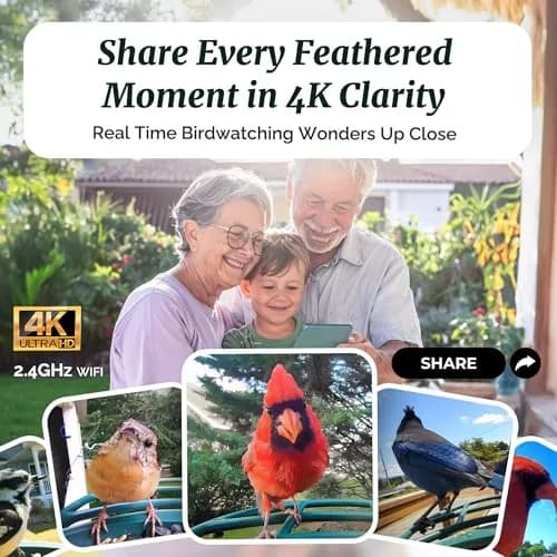 Kiwibit Bird Feeder with 4K Camera | Smart Wildlife Birdwatching Kit, IP65 Waterproof, Solar Powered, 512GB Storage, 4K Ultra HD thumbnail 4
