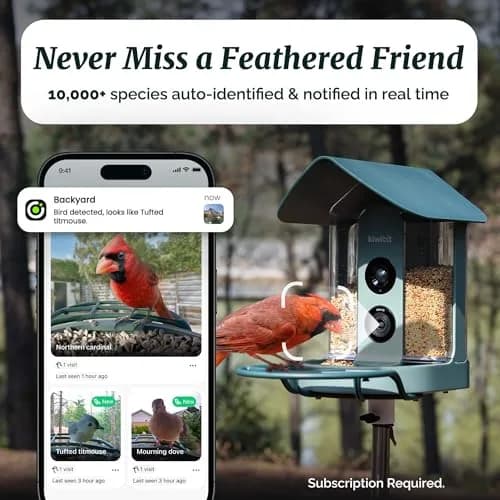 Kiwibit Bird Feeder with 4K Camera | Smart Wildlife Birdwatching Kit, IP65 Waterproof, Solar Powered, 512GB Storage, 4K Ultra HD thumbnail 8