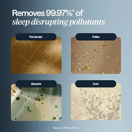 BLUEAIR Mini Restful Beige | 140 sq ft HEPA Air Purifier with Sunrise Alarm & Nightlight thumbnail 9