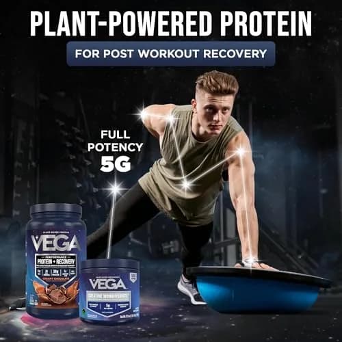 Vega Protein + Recovery Chocolate & Creatine Monohydrate Bundle | 1.8 lbs Protein, 17.6 oz Creatine thumbnail 2