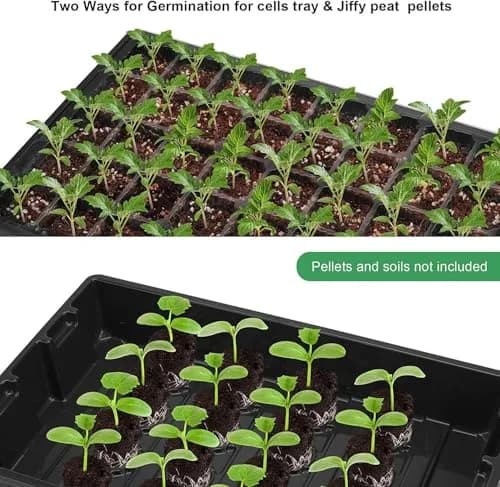 MIXC 10Pack Seed Starter Tray, 400Cell Mini Propagator Greenhouse Grow Kit | Space-Saving, Adjustable Humidity Control thumbnail 2