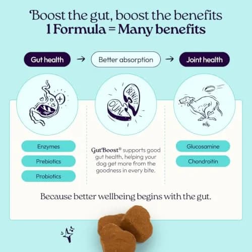 WellJoy Dental Dog Treat + Teeth Cleaning, Parsley, GutBoost, 24ct | Supports Oral & Digestive Wellness thumbnail 6