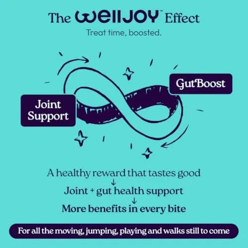 WellJoy Dental Dog Treat + Teeth Cleaning, Parsley, GutBoost, 24ct | Supports Oral & Digestive Wellness thumbnail 7