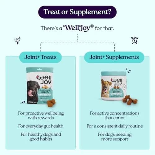 WellJoy Dental Dog Treat + Teeth Cleaning, Parsley, GutBoost, 24ct | Supports Oral & Digestive Wellness thumbnail 8
