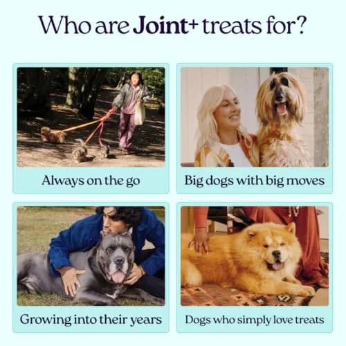 WellJoy Dental Dog Treat + Teeth Cleaning, Parsley, GutBoost, 24ct | Supports Oral & Digestive Wellness thumbnail 3