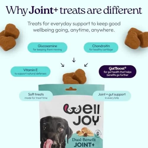 WellJoy Dental Dog Treat + Teeth Cleaning, Parsley, GutBoost, 24ct | Supports Oral & Digestive Wellness thumbnail 5
