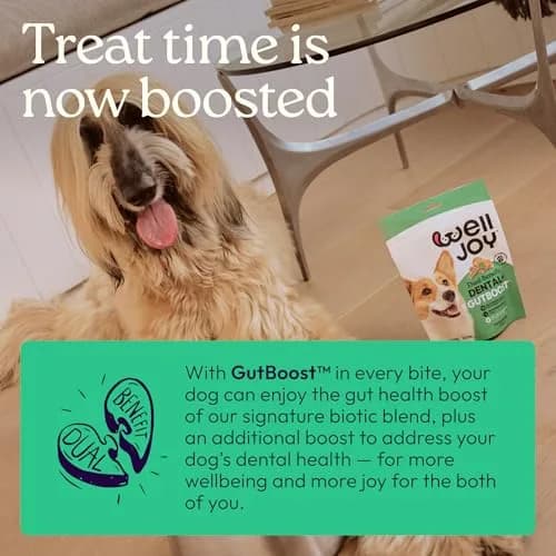 WellJoy Dental Dog Treat + Teeth Cleaning, Parsley, GutBoost, 24ct | Supports Oral & Digestive Wellness thumbnail 4