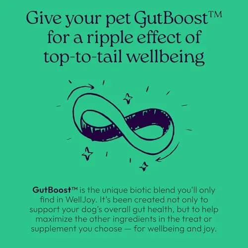 WellJoy Dental Dog Treat + Teeth Cleaning, Parsley, GutBoost, 24ct | Supports Oral & Digestive Wellness thumbnail 8
